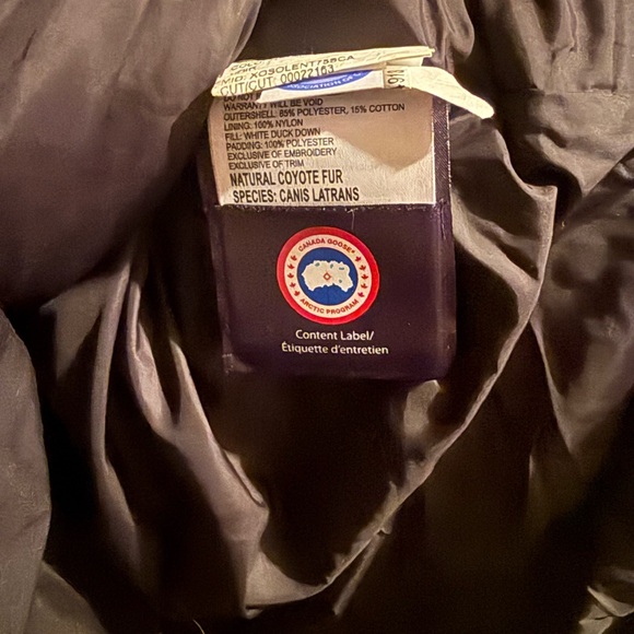 Mystique Canada Goose - Picture 9 of 15